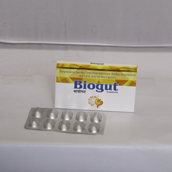 Lactobacillus rhamnosus, Lactobacillus Paracasei, Lactobacillus acidophilus, Lactobacillus Sporogenes, Bifidobacterium Longum, Saccharomyces, Streptococcus Thermophilus, Clostridium butyricum, Bacillus Mesentricus Capsule