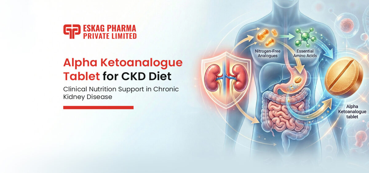 Alpha ketoanalogue tablet for CKD diet