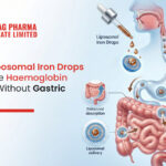 Liposomal Iron Drops for Hemoglobin Support
