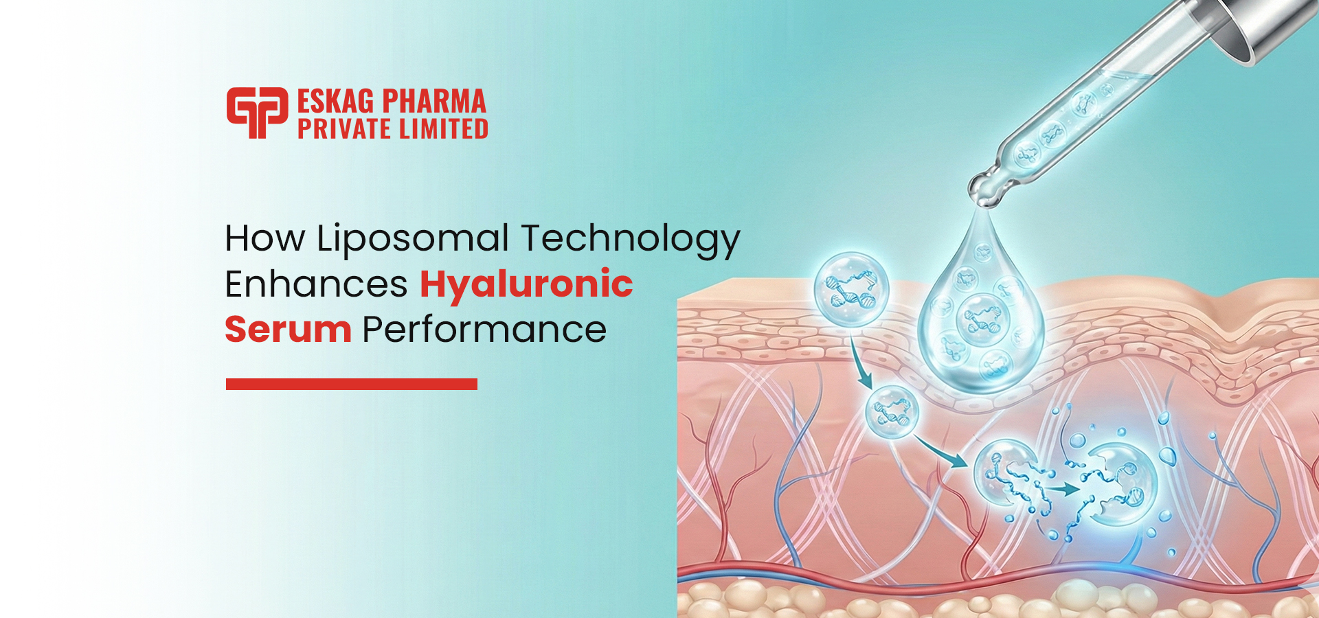 Liposomal hyaluronic acid serum for skin