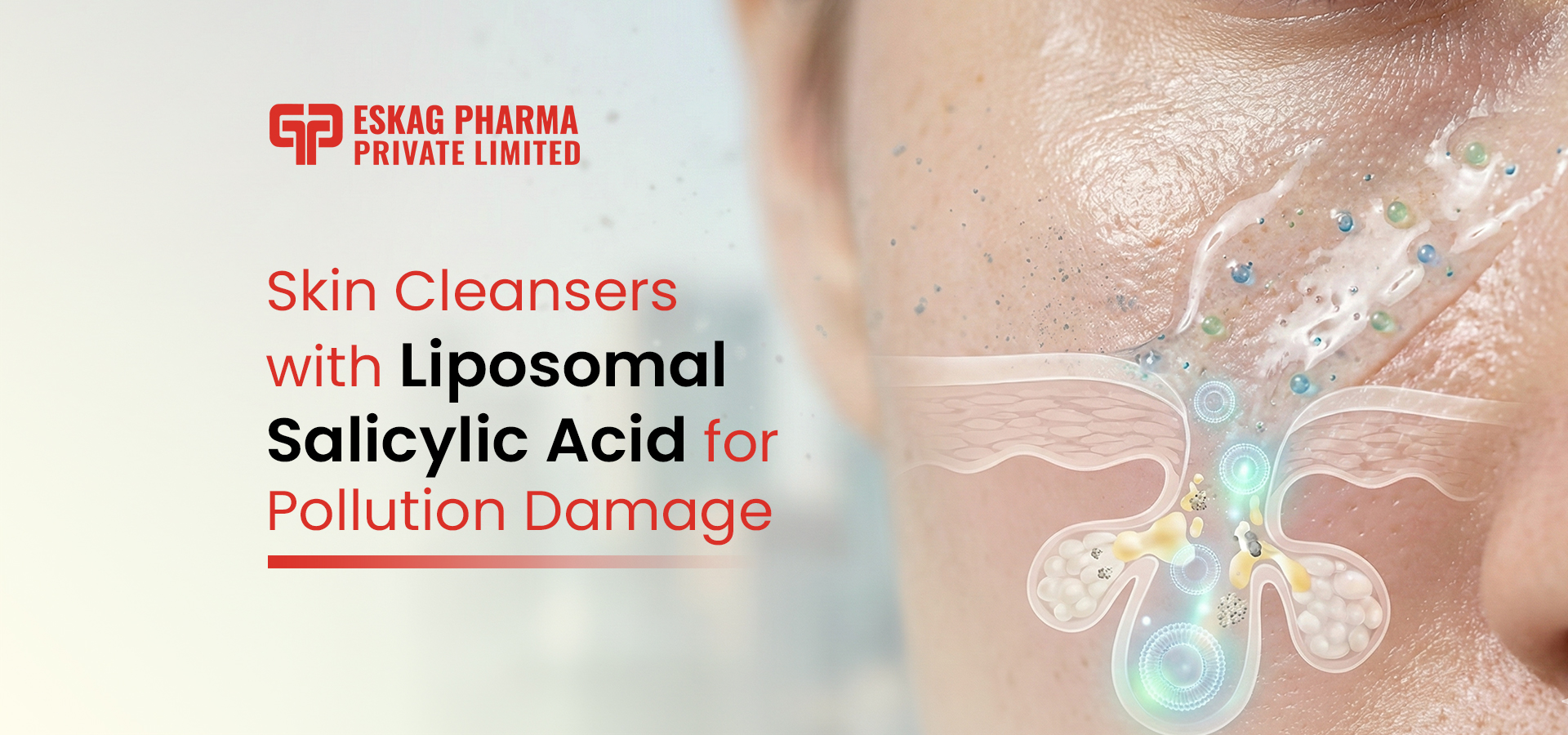 Skin Cleansers with Liposomal Salicylic Acid for Pollution Damage