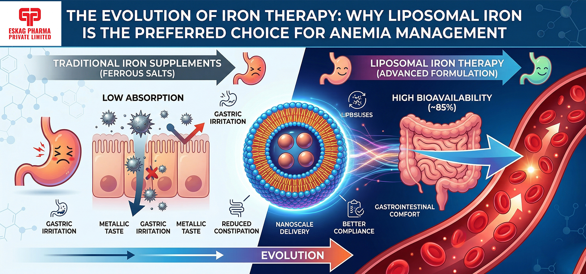 liposomal iron supplement