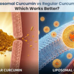 iposomal Curcumin vs Regular Curcumin
