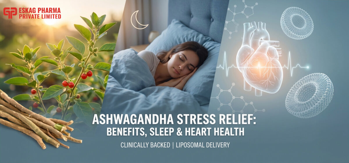 Ashwagandha Stress Relief